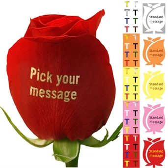 Choose Message on Multiple Roses