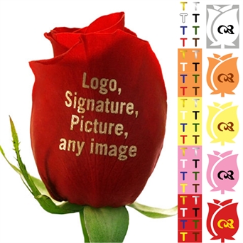 Logo on Multiple Roses