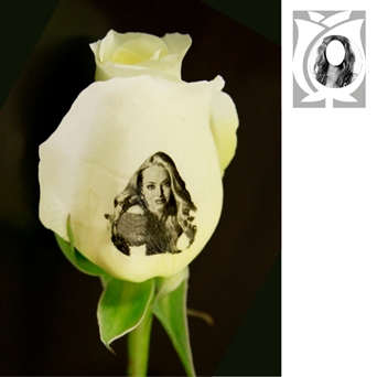 Portrait on Multiple Roses