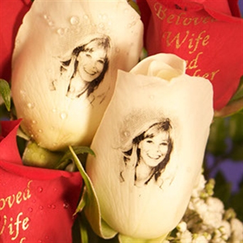 Portrait on Arrangement