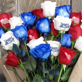 Six 4th of July Roses