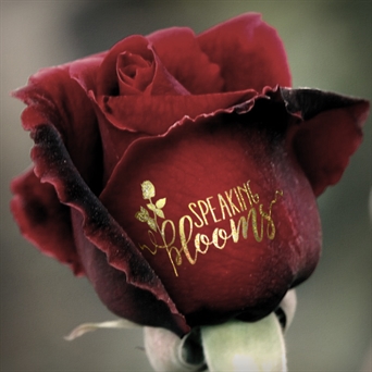 Single Stem Flower Preservation