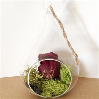Preserved Floral Terranium